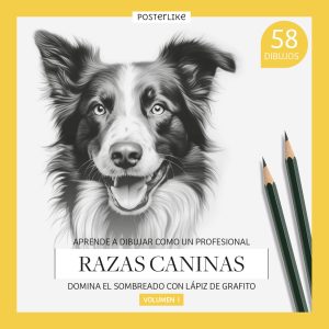 Libro para aprender a dibujar razas caninas mediante lápiz de grafito. Volumen I